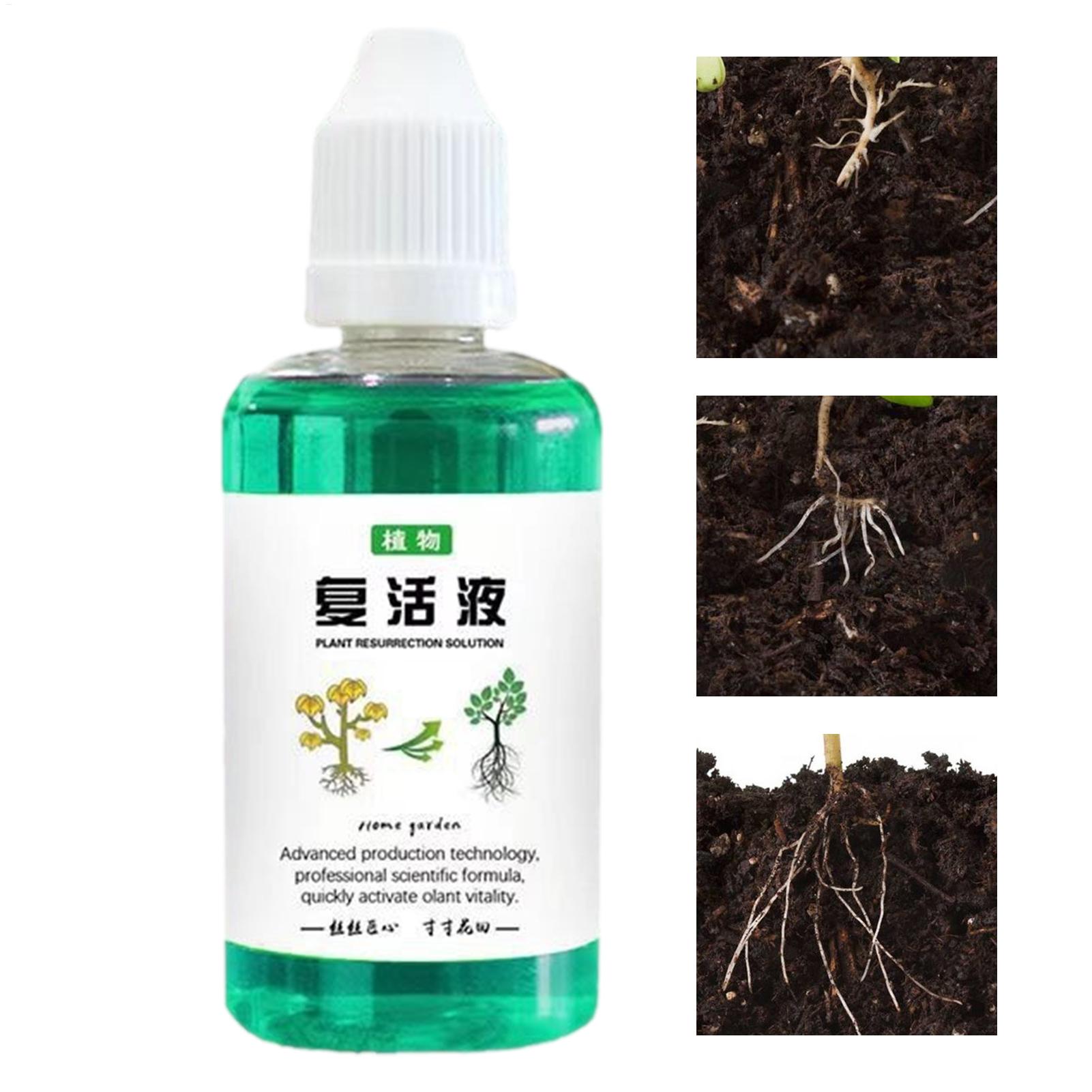 Root Stimulator Liquid - 50 мл Стимулятор корнеобразования, жидкое удобрение
