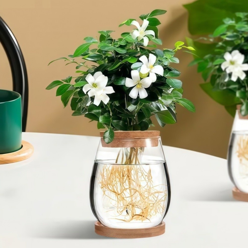 Propagation Station Vase - Прозрачный гидропонный цветочный горшок с деревянным