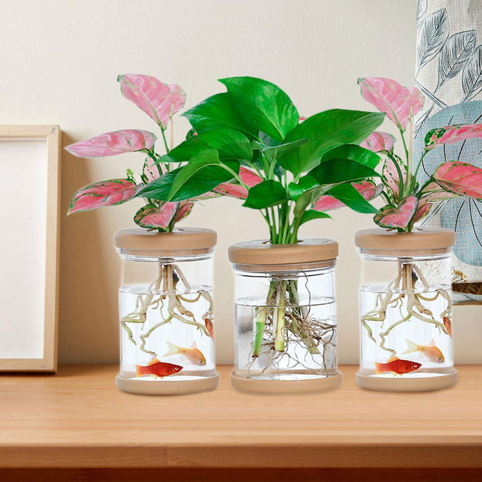 Propagation Station Vase - 3 шт. вазы для цветов гидропоники,