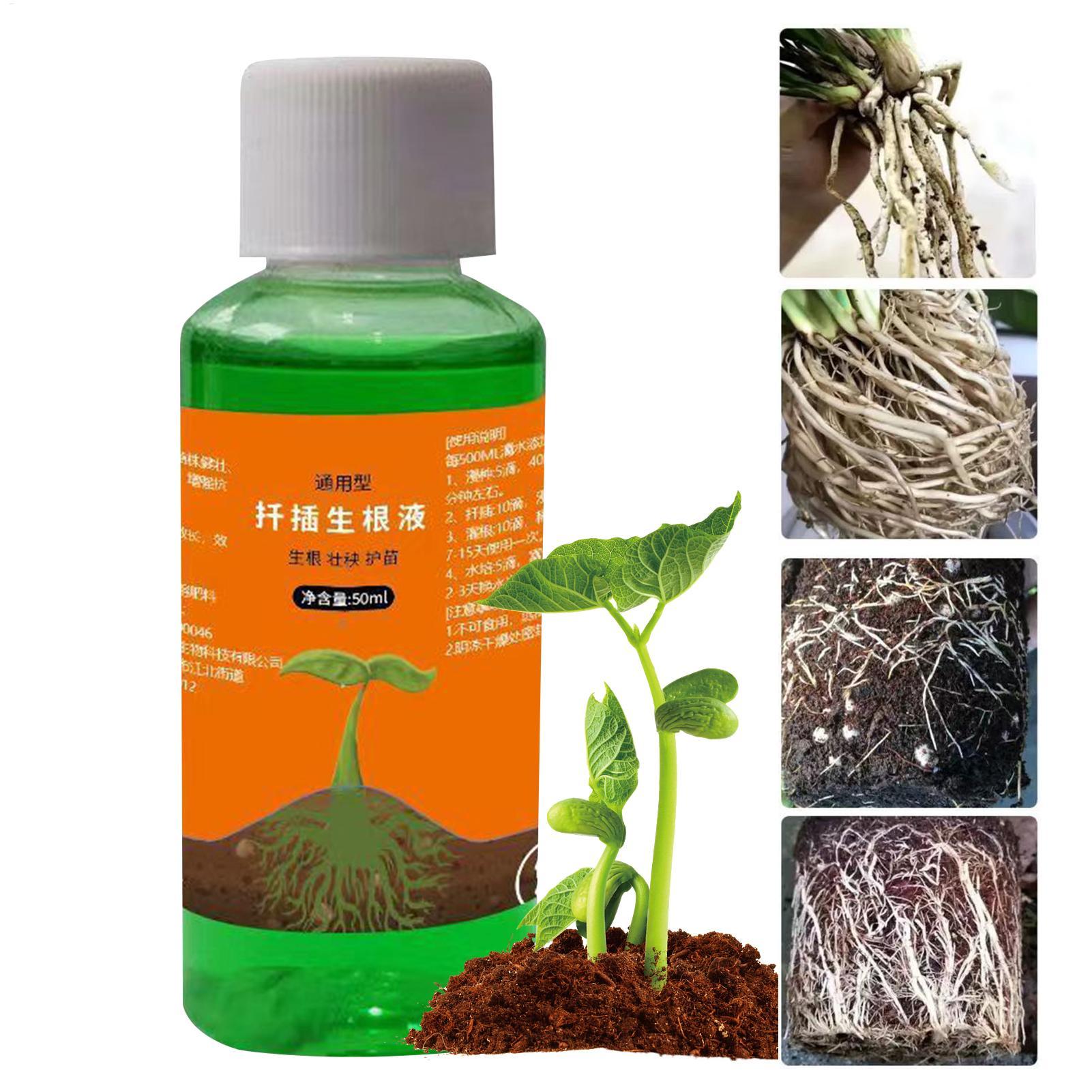 Root Stimulator Liquid - 50 мл питательного раствора для пересадки
