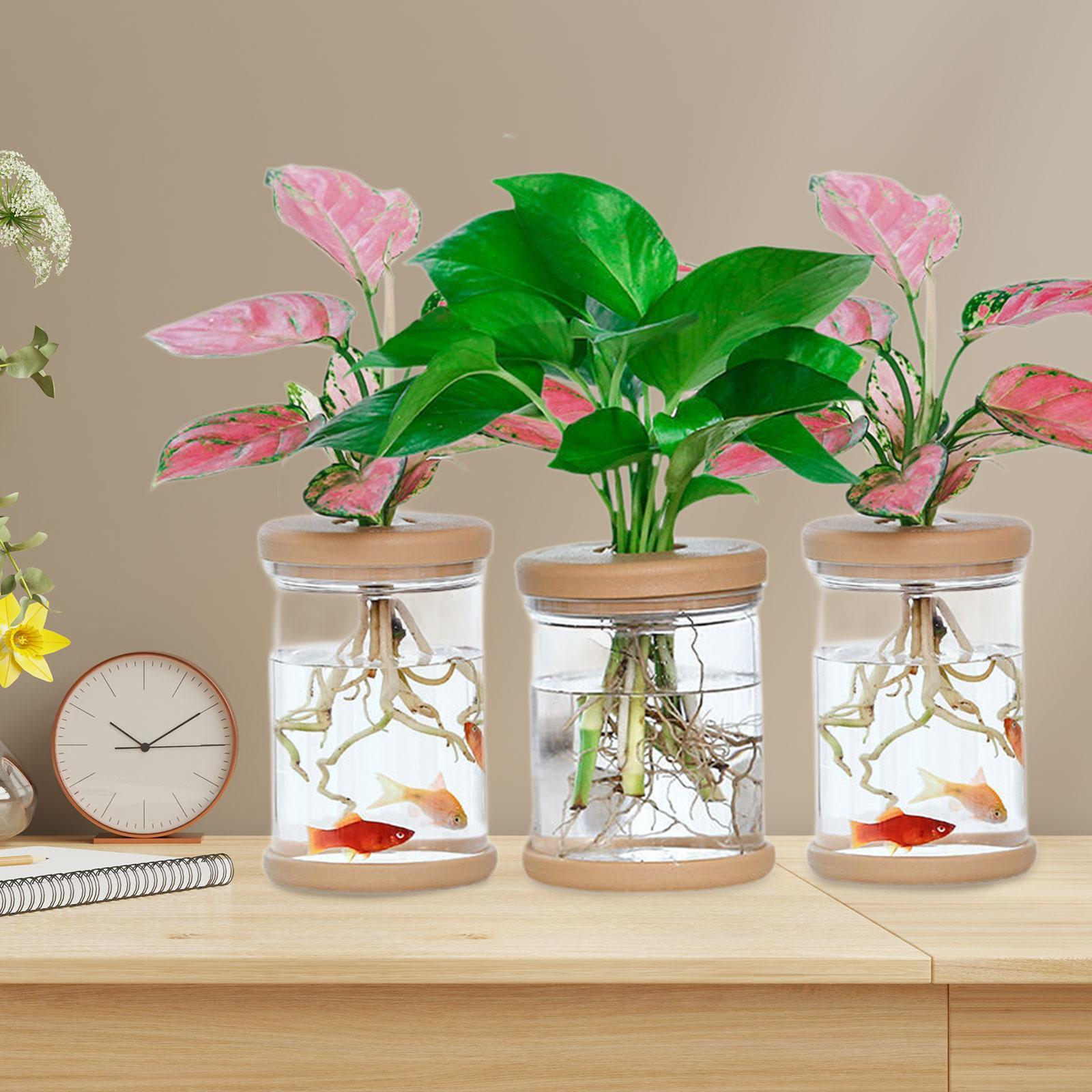 3 шт. вазы для цветов гидропон – обзор и цена Propagation Station Vase