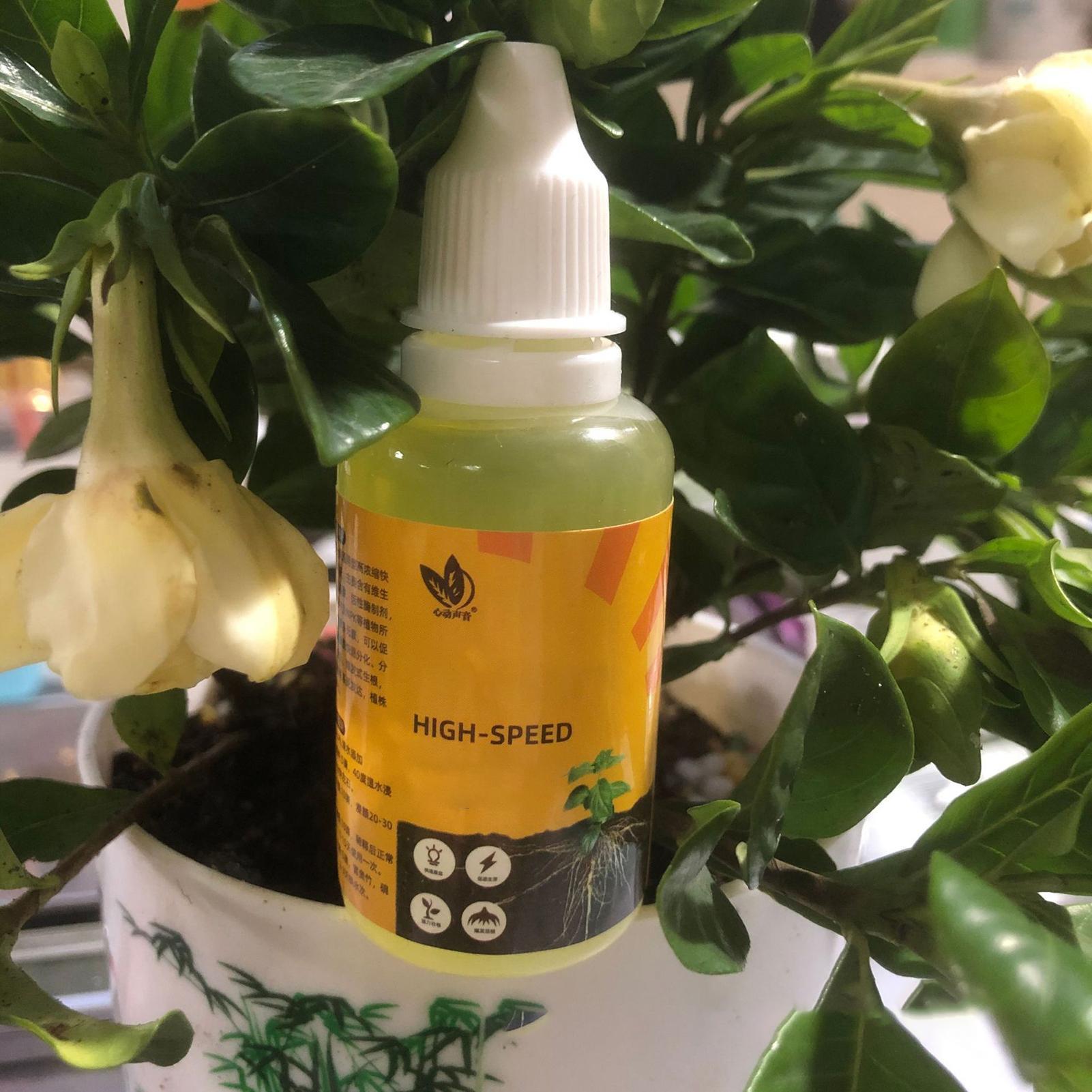 50 мл стимулятор укоренения ра – обзор и цена Root Stimulator Liquid