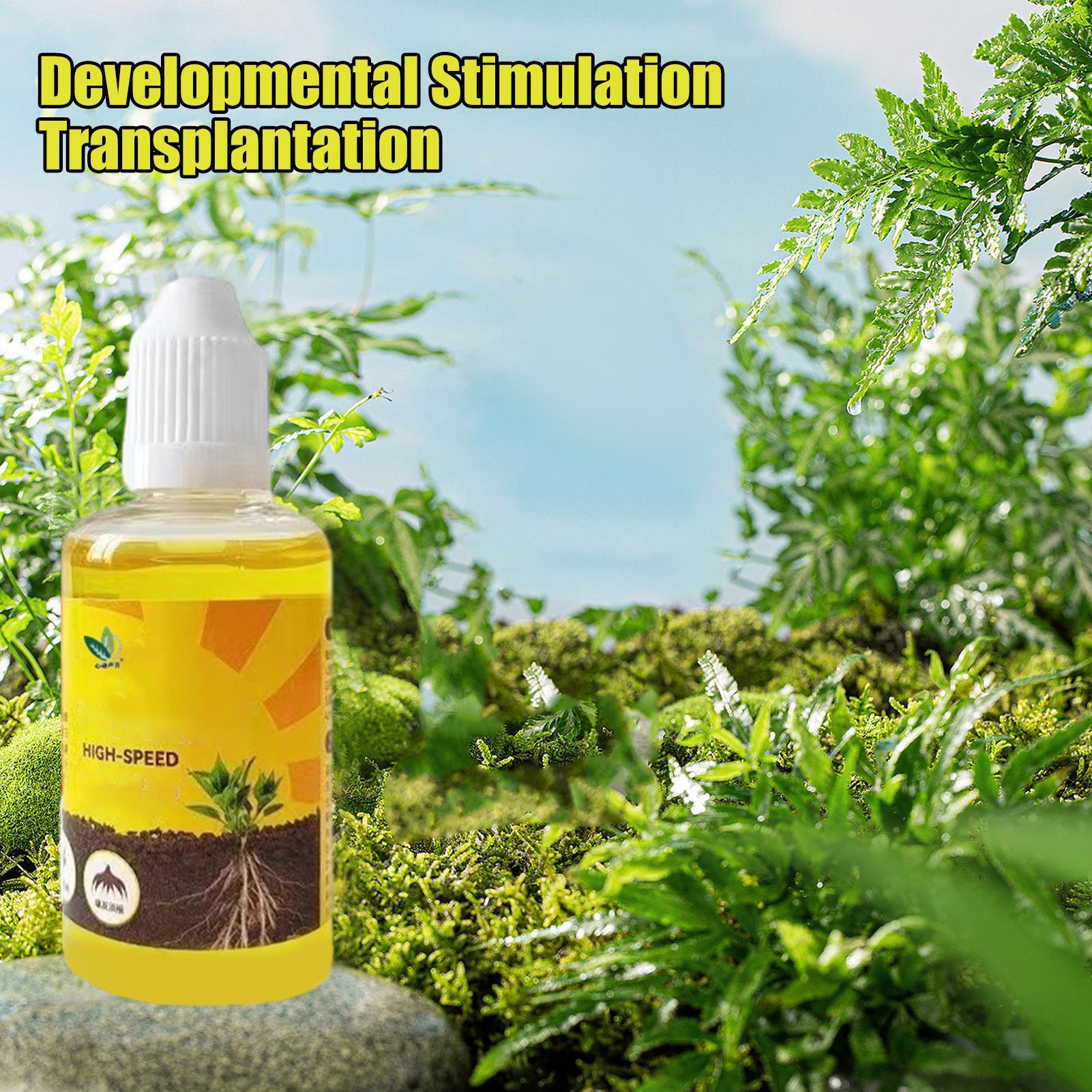 50 мл стимулятор укоренения ра – обзор и цена Root Stimulator Liquid