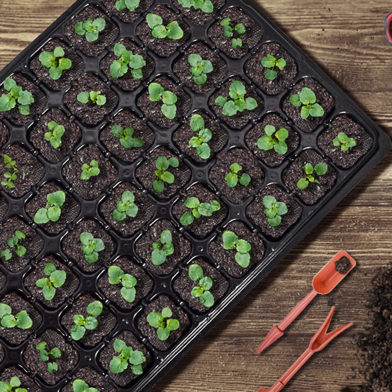 Стартовый лоток для семян в уп – обзор и цена Propagation Tray 72