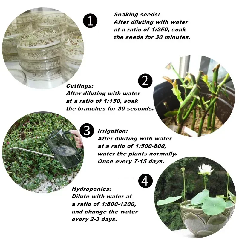 Быстрое быстрое устройство 10  – обзор и цена Rooting Hormone Powder