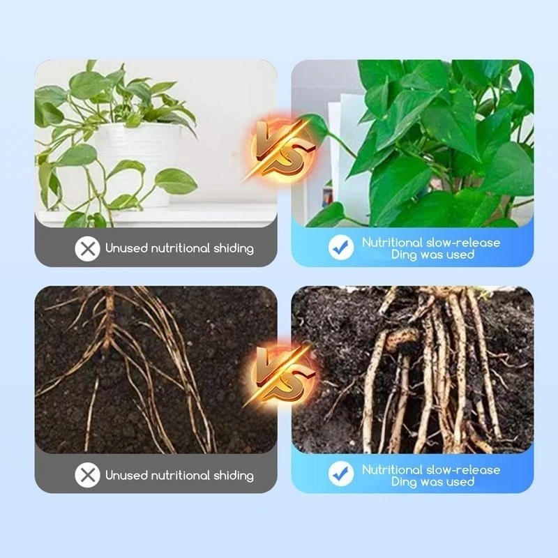 2 пакета порошка для укоренени – обзор и цена Rooting Hormone Powder