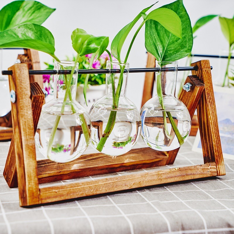 Настольный стеклянный кашпо, с – обзор и цена Propagation Station Vase